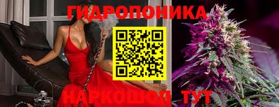 трава Лесосибирск