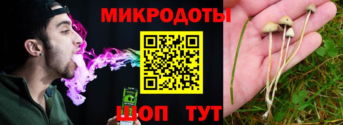 Галлюциногенные грибы Cubensis  Галлюциногенные грибы Psilocybine cubensis  Шарыпово  где можно купить   Вход с VPN 